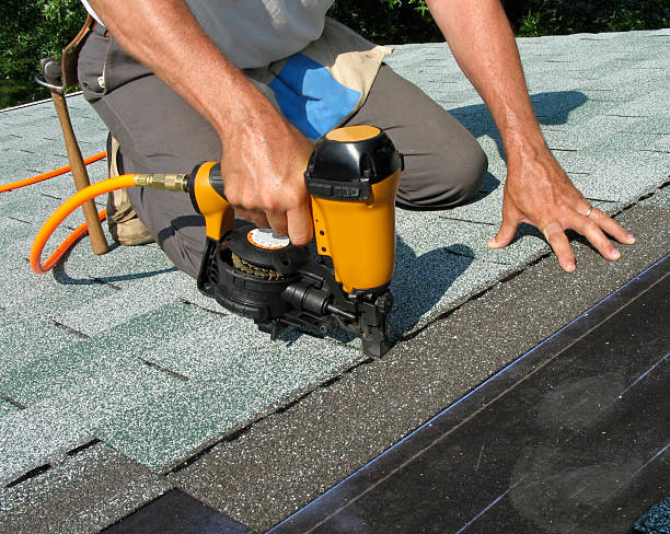 Best Shingle Roofing Installation  in Temple Terrace, FL