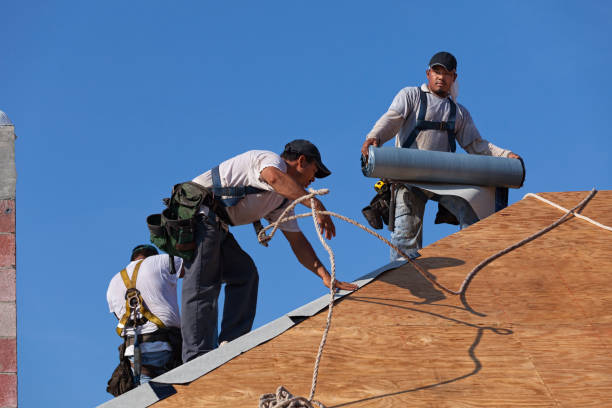 Quick and Trustworthy Emergency Roof Repair Services in Temple Terrace, FL