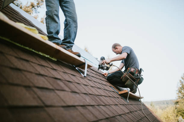 Quick and Trustworthy Emergency Roof Repair Services in Temple Terrace, FL