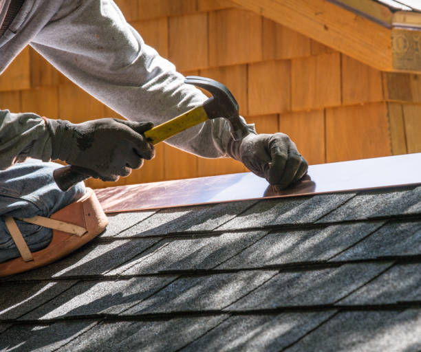 Best Gutter Installation and Roofing  in Temple Terrace, FL